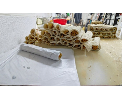 Untitled (500 x 350 px).png